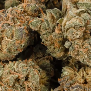 Buy AK47 Strain