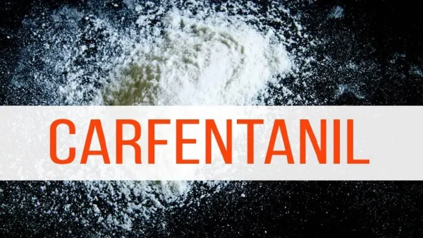 Buy Carfentanil Powder Online