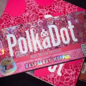Buy Polka Dot Raspberry Muffin Chocolate