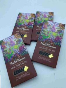 Mushroom Chocolate Bars