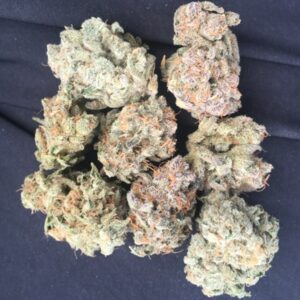 Buy Gelato Strain
